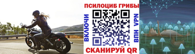 Псилоцибиновые грибы Magic Shrooms  что такое   Североморск 